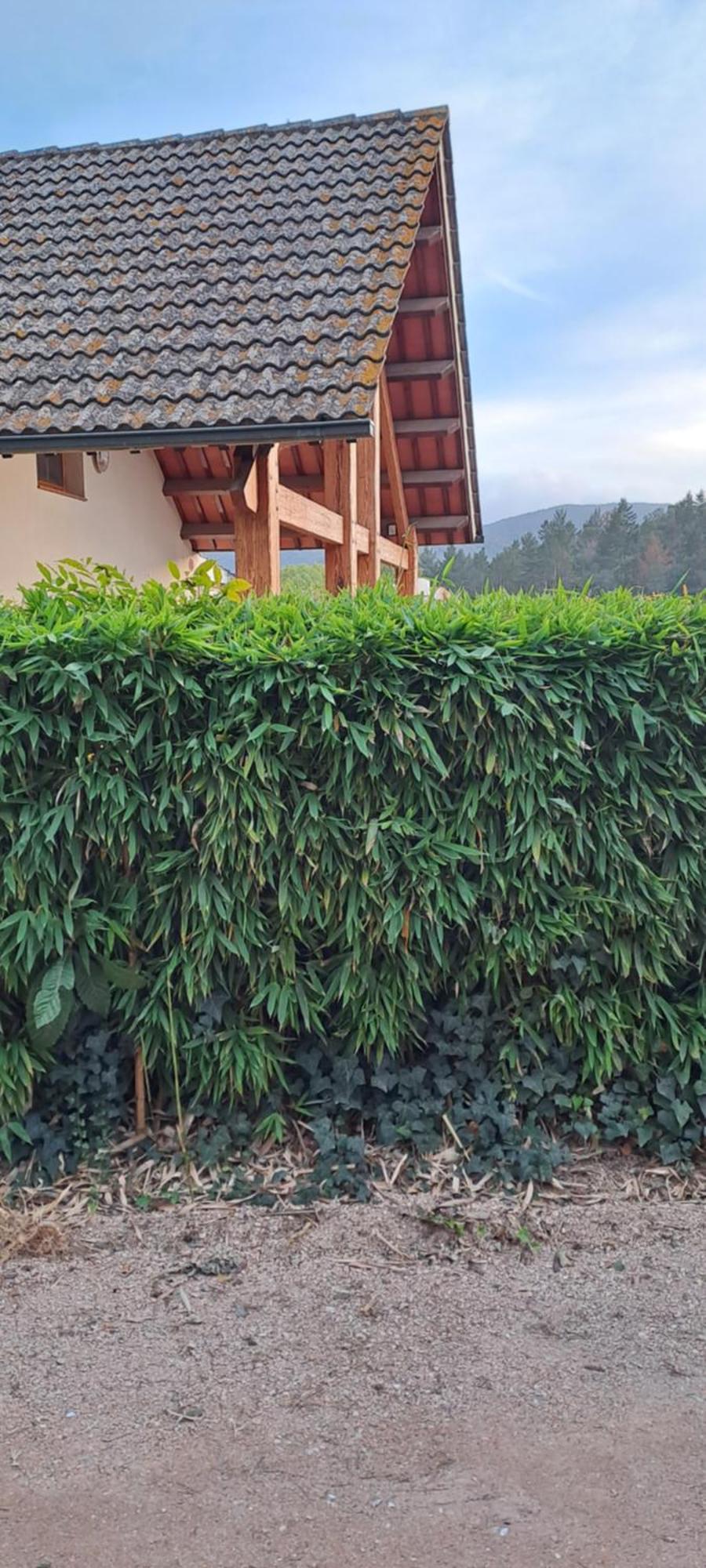 Chalet Entre Parques Naturales Vallgorguina Exterior photo